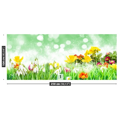 Fototapet Påskeblomster