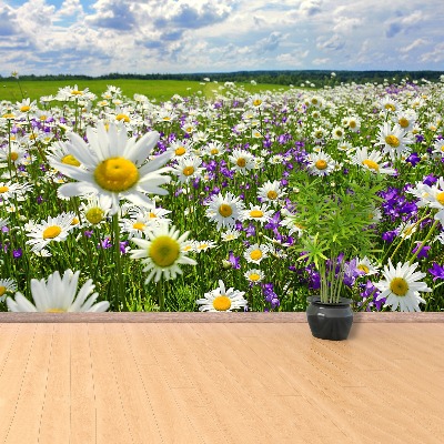 Fotostat Enge og blomster