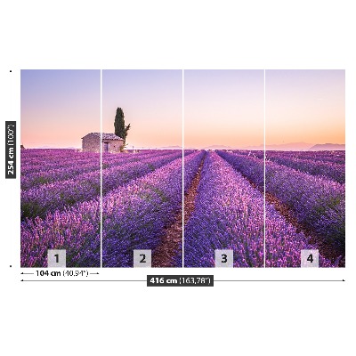 Foto tapet Lavendel Provence