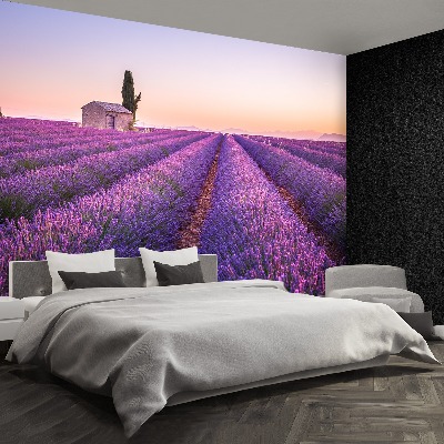 Foto tapet Lavendel Provence