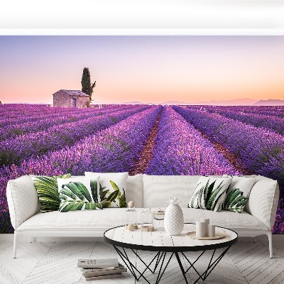 Foto tapet Lavendel Provence