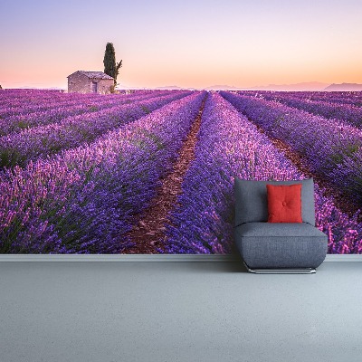 Foto tapet Lavendel Provence