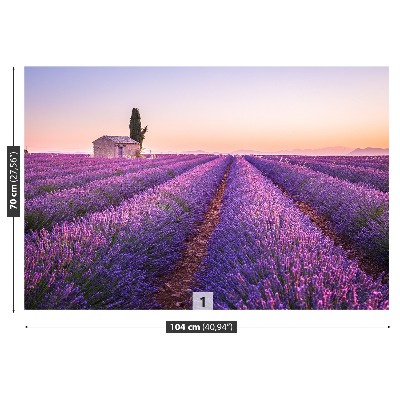 Foto tapet Lavendel Provence