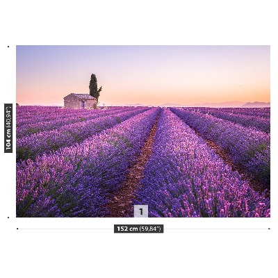 Foto tapet Lavendel Provence