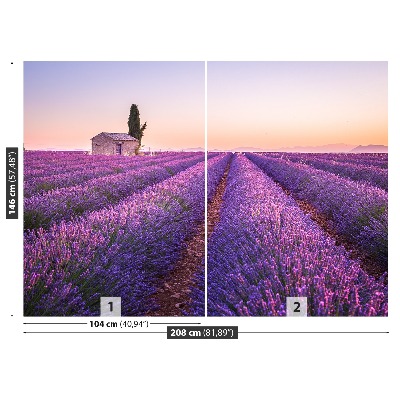 Foto tapet Lavendel Provence