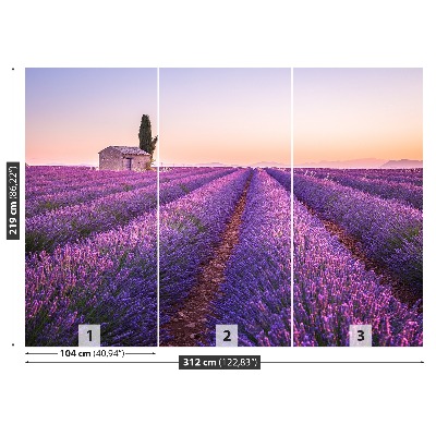 Foto tapet Lavendel Provence