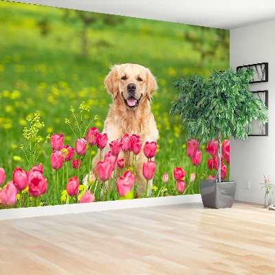 Fototapet Hund Tulipaner