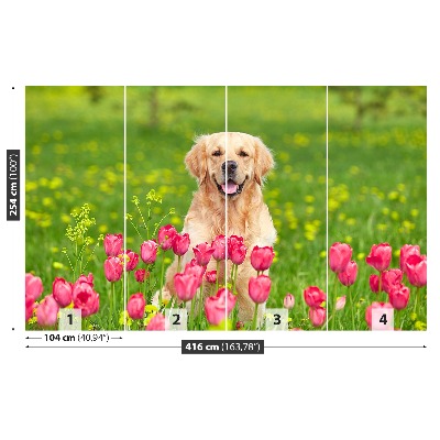 Fototapet Hund Tulipaner