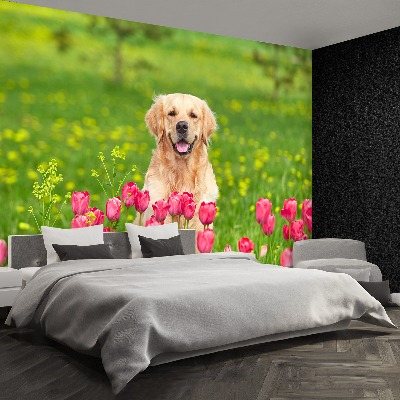 Fototapet Hund Tulipaner