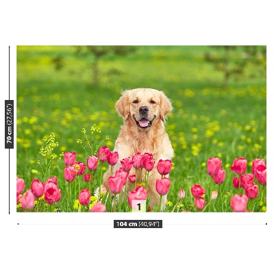 Fototapet Hund Tulipaner