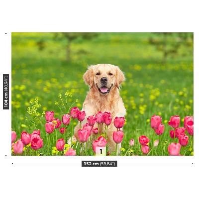 Fototapet Hund Tulipaner