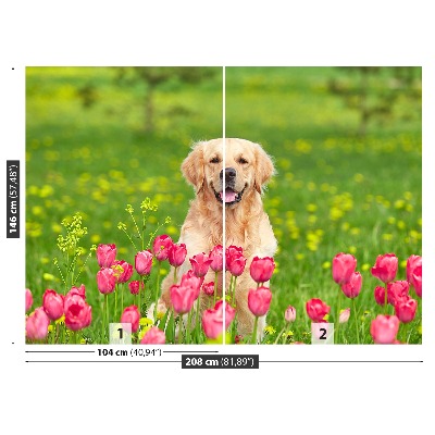 Fototapet Hund Tulipaner