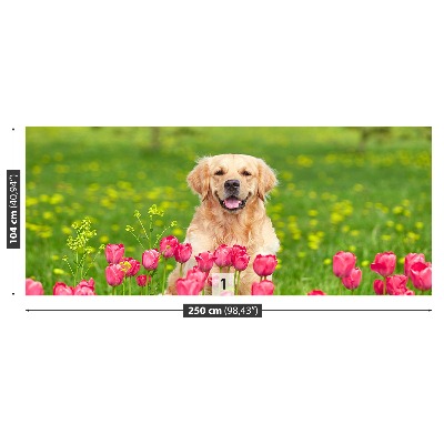 Fototapet Hund Tulipaner