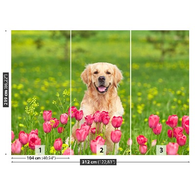 Fototapet Hund Tulipaner