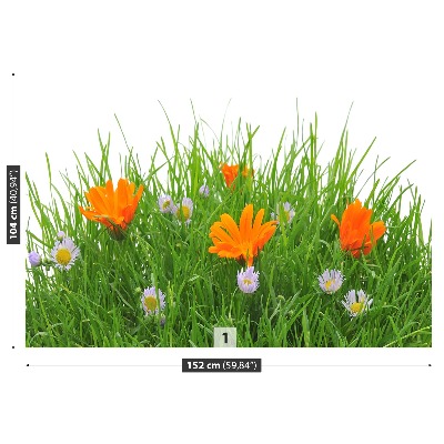 Fotostat Blomster påske