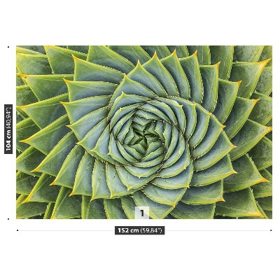 Selvklæbende fototapet Aloe Symmetry