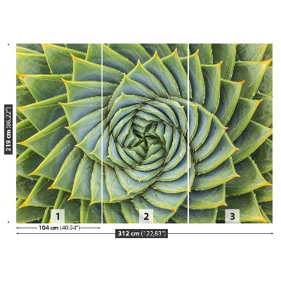 Selvklæbende fototapet Aloe Symmetry