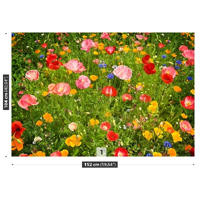 Foto tapet Blomster Eng