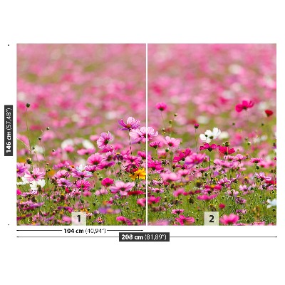 Selvklæbende fototapet Blomster Cosmos