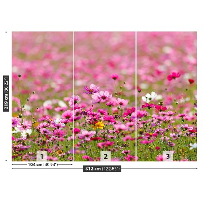 Selvklæbende fototapet Blomster Cosmos