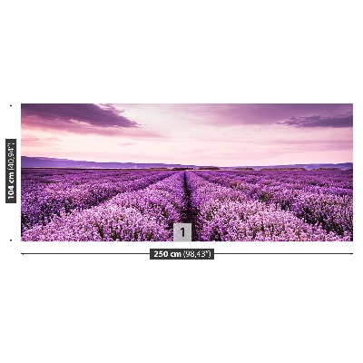 Fototapet Lavendel i blomst