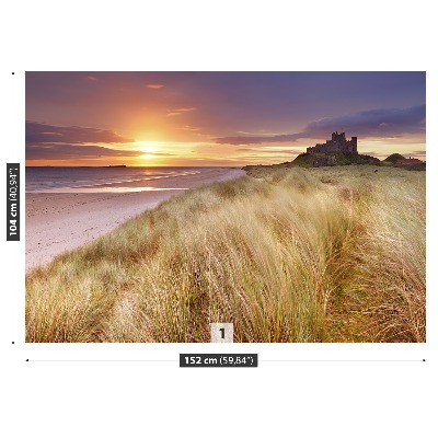 Selvklæbende fototapet Dunes Castle