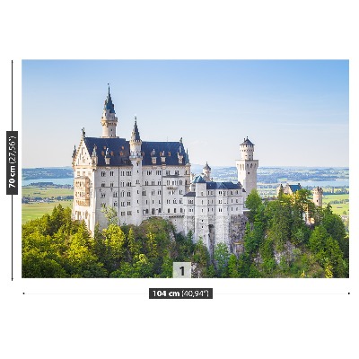 Fotostat Neuschwanstein