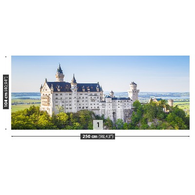 Fotostat Neuschwanstein