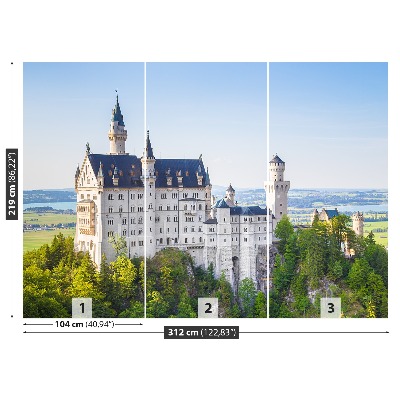 Fotostat Neuschwanstein