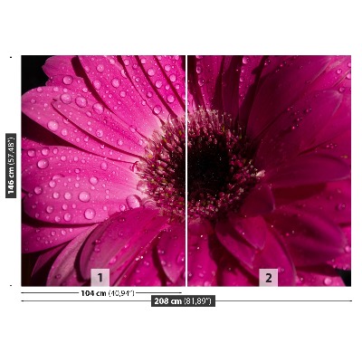 Fotostat Gerbera lilla