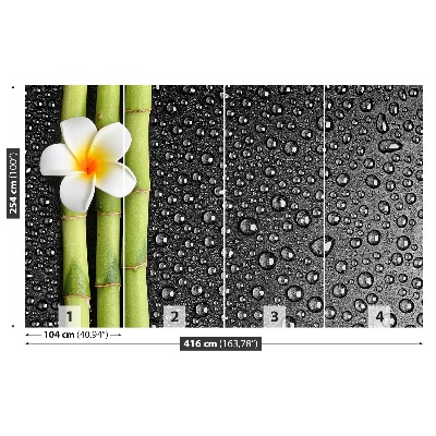 Foto tapet Frangipani blomst