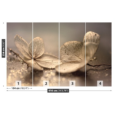 Fototapet Hortensia Beige