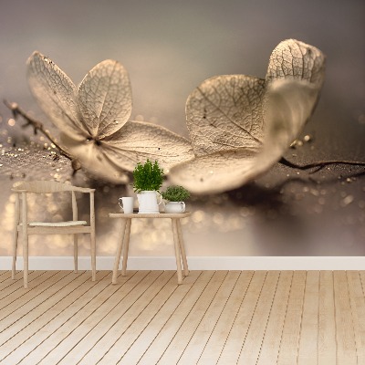 Fototapet Hortensia Beige