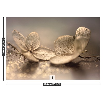 Fototapet Hortensia Beige