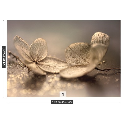 Fototapet Hortensia Beige