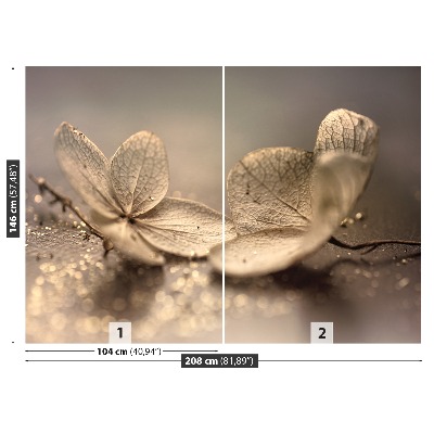 Fototapet Hortensia Beige