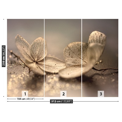 Fototapet Hortensia Beige