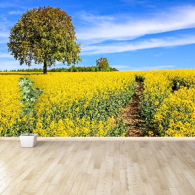 Fotostat Gule blomster