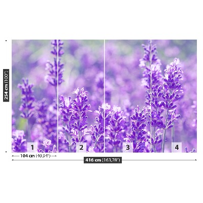 Foto tapet Lavendel Lilla