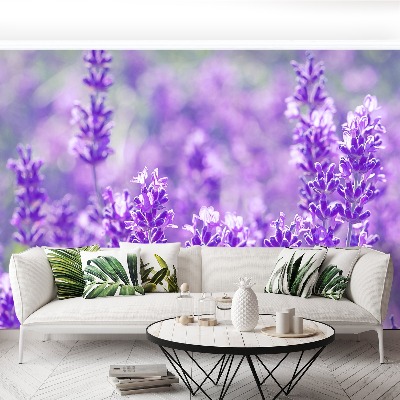 Foto tapet Lavendel Lilla