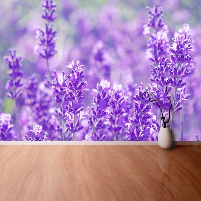 Foto tapet Lavendel Lilla