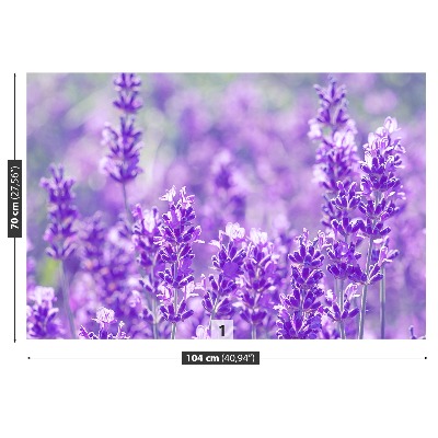 Foto tapet Lavendel Lilla