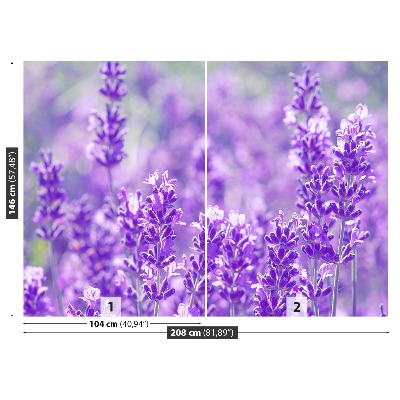 Foto tapet Lavendel Lilla