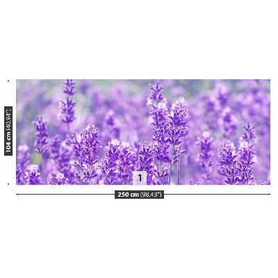 Foto tapet Lavendel Lilla