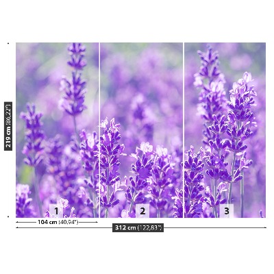 Foto tapet Lavendel Lilla