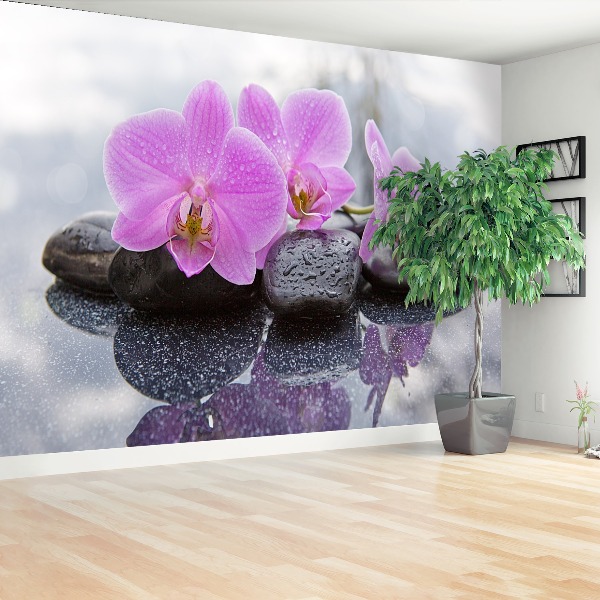 Fototapet Orchid Stones