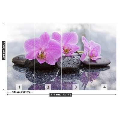 Fototapet Orchid Stones