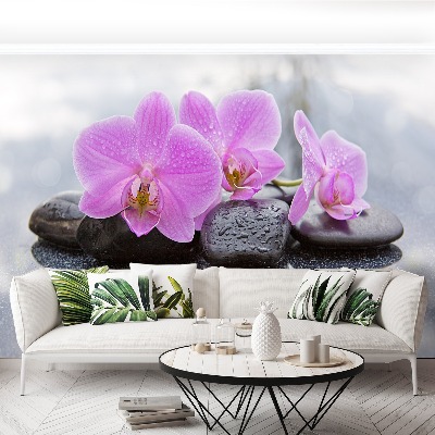 Fototapet Orchid Stones