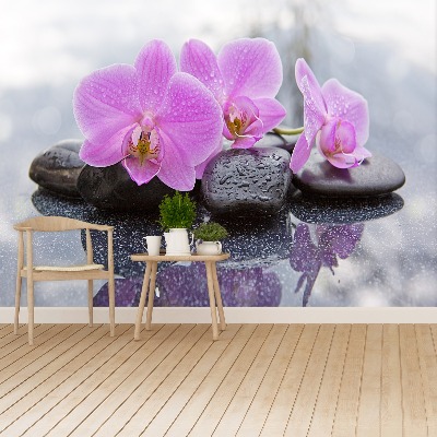 Fototapet Orchid Stones