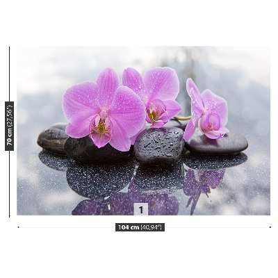 Fototapet Orchid Stones